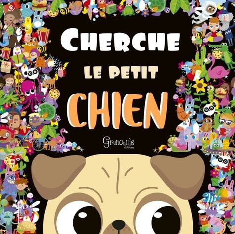 anderson-nicola-cherche-le-petit-chien-et-ses-amis_0