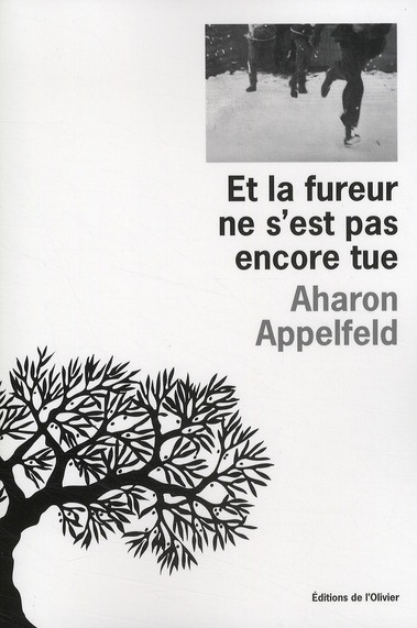 appelfeld-aharon-3b-zenatti-valerie-et-la-fureur-ne-s-est-pas-encore-tue_0