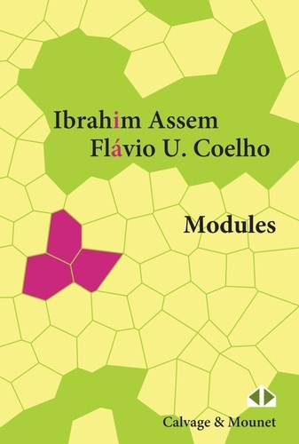 assem-ibrahim-3b-coelho-flavio-modules_0