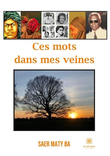 ba-saer-maty-ces-mots-dans-mes-veines_0