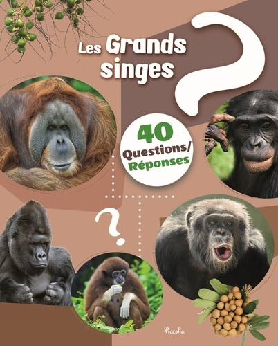 baillet-christine-les-grands-singes_0