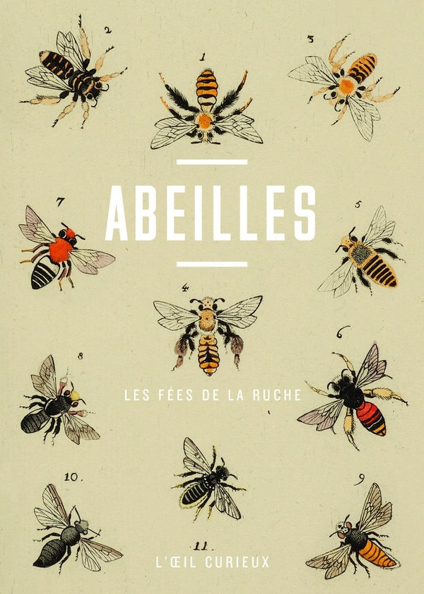 baratta-yveline-abeilles_0