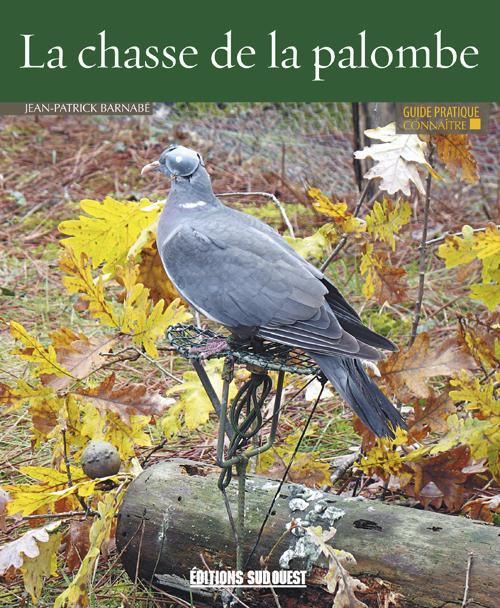 barnabe-jean-patrick-connaitre-la-chasse-de-la-palombe_0