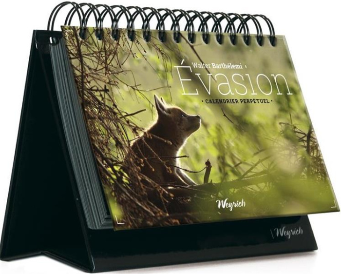 barthelemi-walter-evasion-calendrier-perpetuel_0