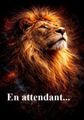 barthelemy-sebastien-en-attendant_0