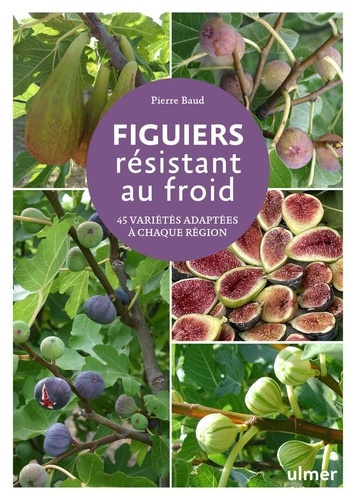 baud-pierre-figuiers-resistant-au-froid_0