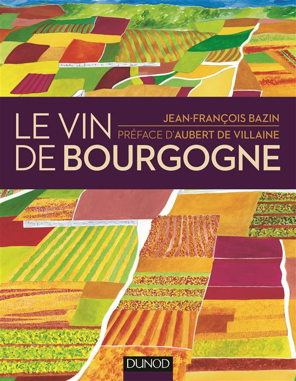 bazin-jean-francois-3b-villaine-aubert-de-le-vin-de-bourgogne_0