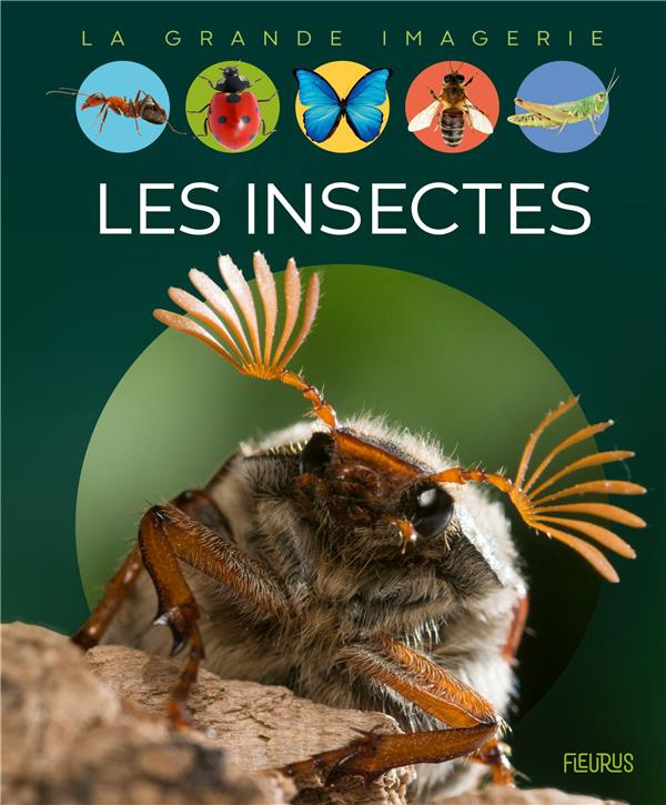 beaumont-emilie-3b-lemayeur-marie-christine-3b-alunn-les-insectes_0