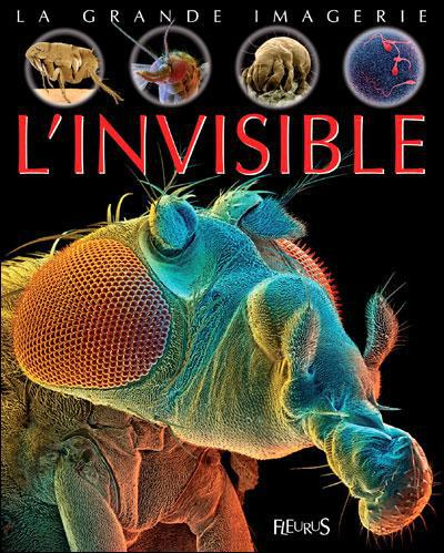 beaumont-jacques-3b-sagnier-christine-l-invisible_0