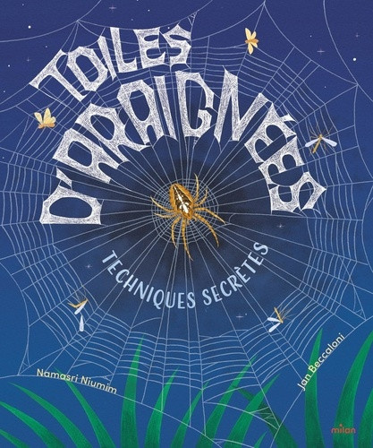beccaloni-niumim-toiles-d-araignees-techniques-secretes_0