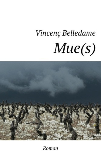 belledame-vincenc-mue-s_0