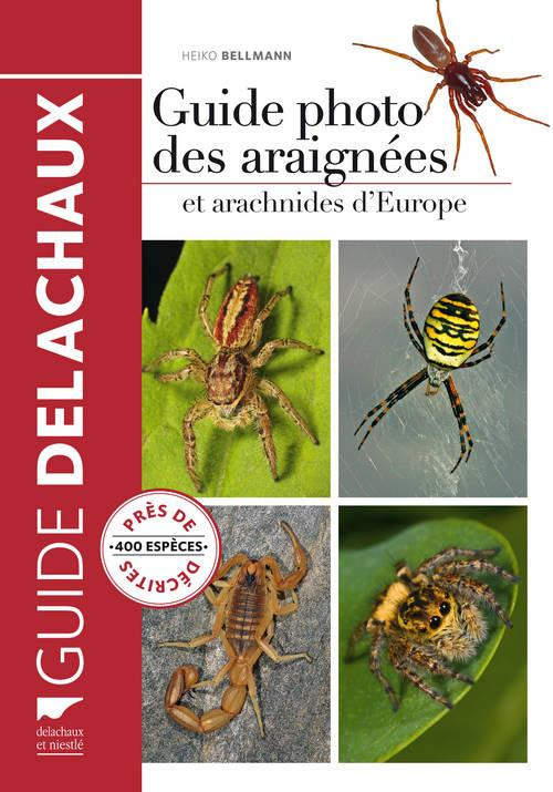 bellmann-heiko-3b-jourde-philippe-guide-photo-des-araignees-et-autres-arachnides-d-europe_0