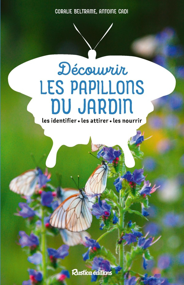 beltrame-coralie-3b-cadi-antoine-decouvrir-les-papillons-du-jardin-les-identifier-les-attirer-les-nourrir_0