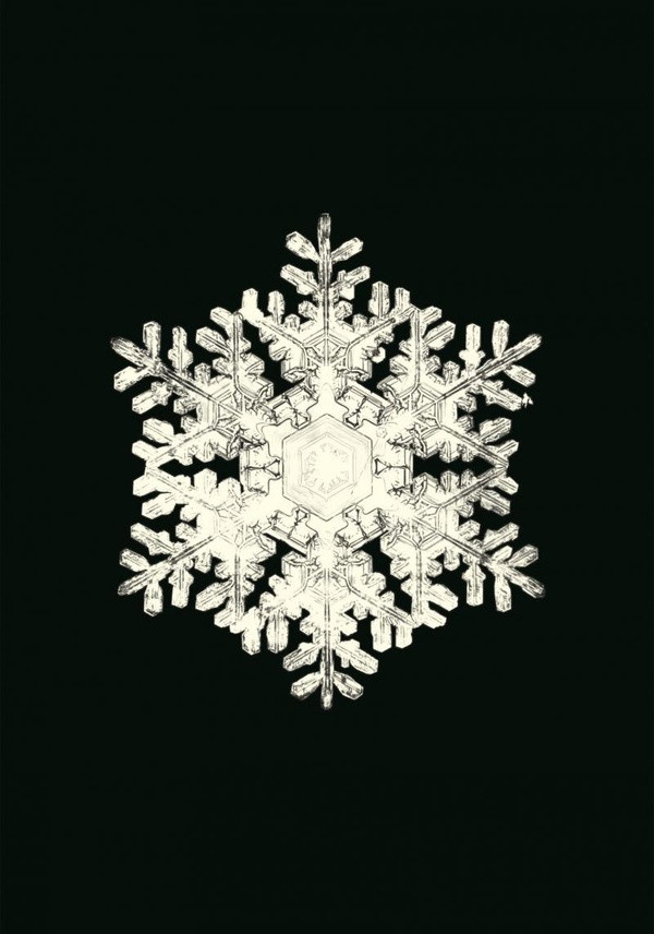 bentley-wilson-alwyn-carnet-flocons-de-neige_0