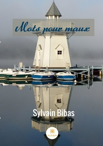 bibas-sylvain-mots-pour-maux_0