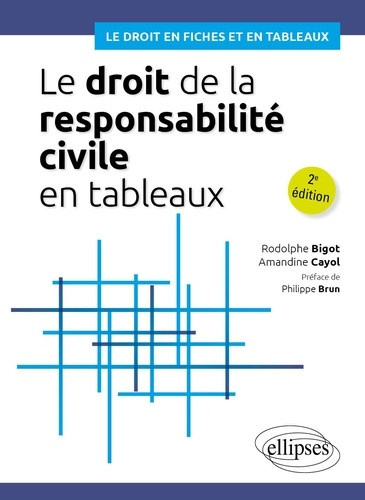 bigot-rodolphe-cayol-amandine-le-droit-de-la-responsabilite-civile-en-tableaux_0