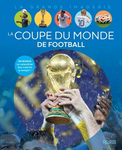 billioud-jean-michel-la-coupe-du-monde-de-football_0
