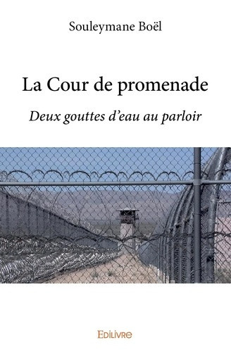 boel-souleyman-la-cour-de-promenade-deux-gouttes-d-eau-au-parloir_0