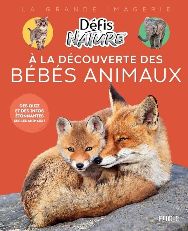 boone-daniele-les-bebes-animaux_0