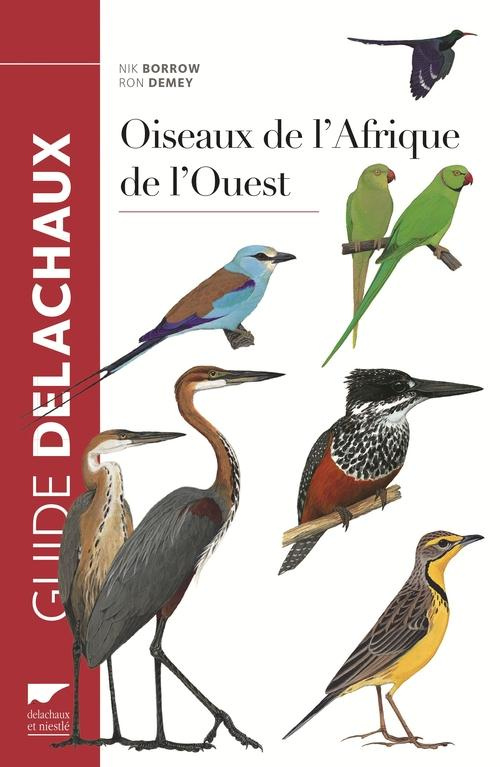 borrow-nik-3b-demey-ron-3b-paepegaey-benoit-oiseaux-de-l-afrique-de-l-ouest_0