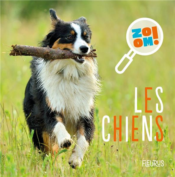 bourset-carole-les-chiens_0