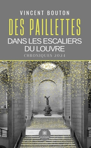 bouton-vincent-des-paillettes-dans-les-escaliers-du-louvre-chroniques-2024_0