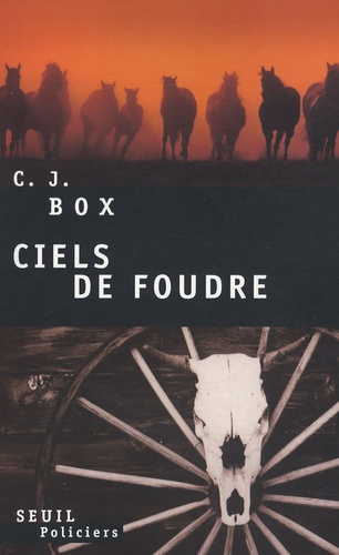 box-c-j-3b-menanteau-etienne-ciels-de-foudre_0