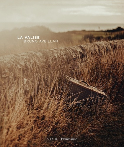 bruno-aveillan-la-valise_0