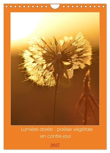 bruyas-virginie-lumiere-doree-poesie-vegetale-en-contre-une-annee-au-fil-de-la-lumiere_0