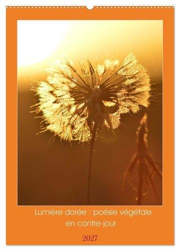 bruyas-virginie-lumiere-doree-poesie-vegetale-en-contre-une-annee-au-fil-de-la-lumiere_0