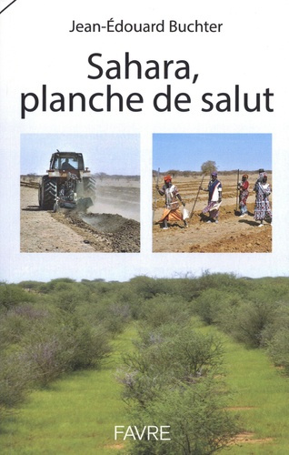 buchter-jean-edouard-3b-sokona-youba-sahara-planche-de-salut_0