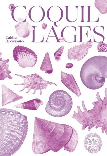 burgos-ariadna-coquillages-joyaux-des-mers_0