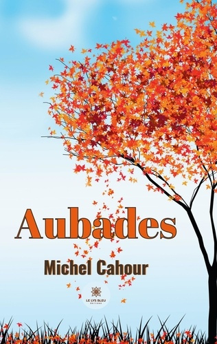 cahour-michel-aubades_0
