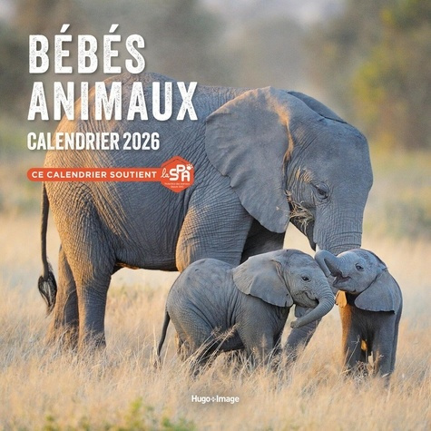 calendrier-mural-bebes-animaux-2026_0