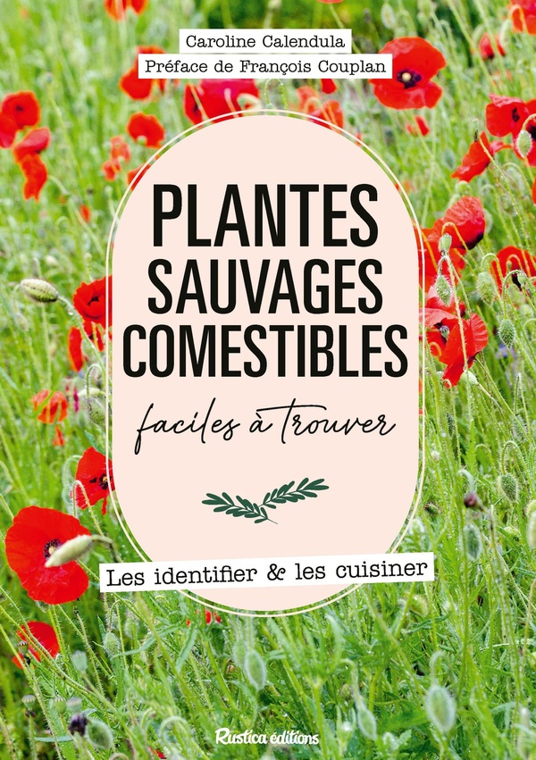 calendula-caroline-curt-claire-couplan-francoi-plantes-sauvages-comestibles-faciles-a-trouver_0