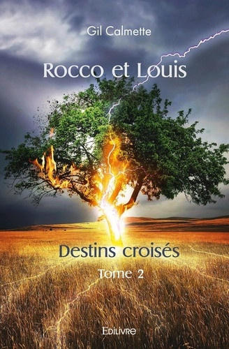 calmette-gil-destins-croises-tome-2-rocco-et-louis_0