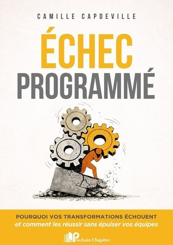camille-capdeville-echec-programme-pourquoi-vos-transformations-echouent-et-comment-les-reussir-sans-epuiser-vos-equip_0