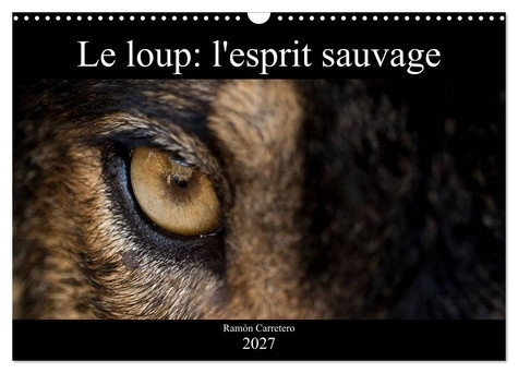 carretero-ramon-loup-esprit-sauvage-calendrier-mural-202-des-images-incroyables-de-loup_0