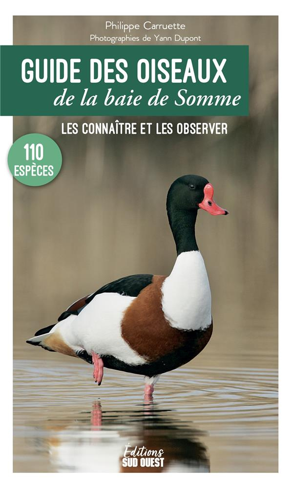 carruette-dupont-guide-des-oiseaux-de-la-baie-de-somme-les-connaitre-et-les-observer_0
