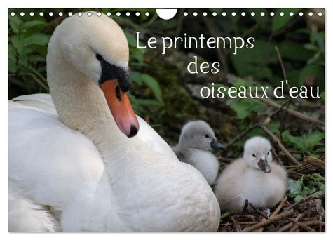 casaert-patrick-printemps-oiseaux-d-eau-calendrier-mural-le-printemps-marque-la-naissan_0