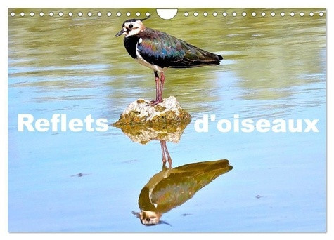 casaert-patrick-reflets-d-oiseaux-calendrier-mural-2027-quand-les-oiseaux-se-refletent_0