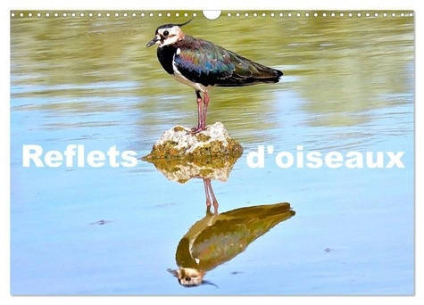 casaert-patrick-reflets-d-oiseaux-calendrier-mural-2027-quand-les-oiseaux-se-refletent_0