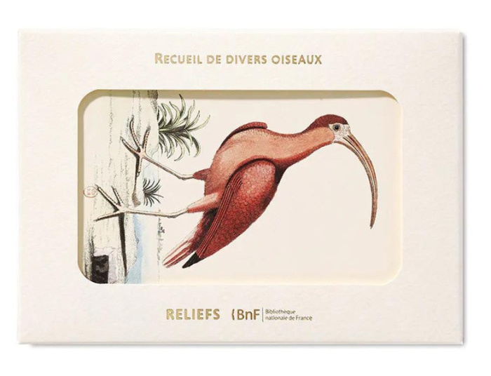 catesby-mark-carnet-recueil-de-divers-oiseaux_0