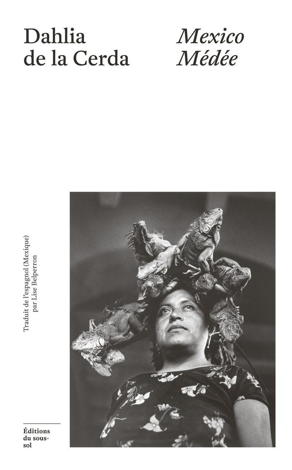 cerda-dahlia-de-la-mexico-medee_0