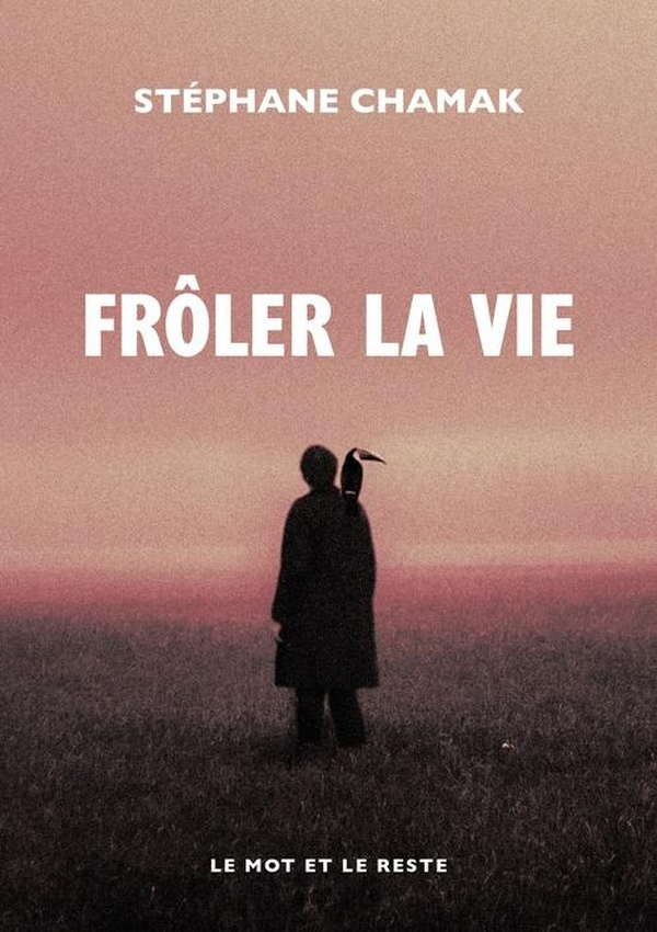 chamak-stephane-froler-la-vie_0