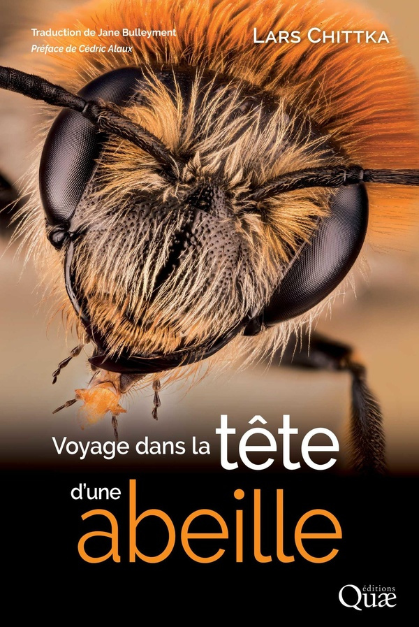 chittka-bulleyment-voyage-dans-la-tete-d-une-abeille_0