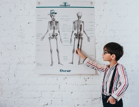 collectif-affiche-anatomie-50-x-70-cm_0