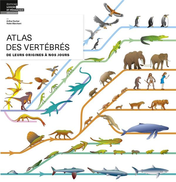 collectif-atlas-des-vertebres_0