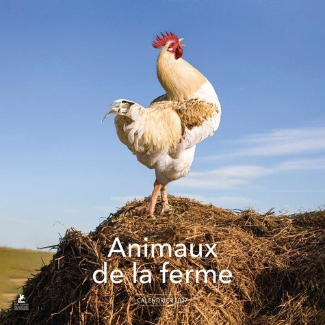 collectif-calendrier-2027-animaux-de-la-ferme_0