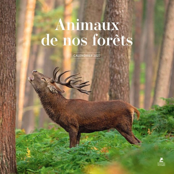 collectif-calendrier-2027-animaux-de-nos-forets_0